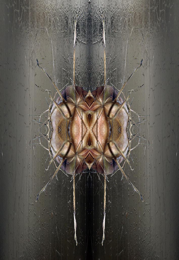 Artworks - Elizabeth de Monchaux